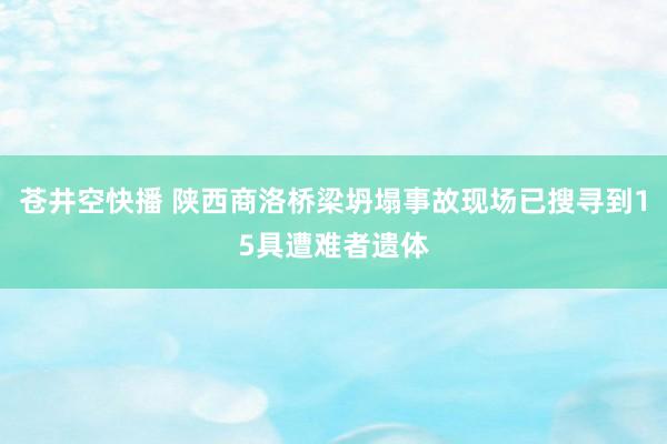 苍井空快播 陕西商洛桥梁坍塌事故现场已搜寻到15具遭难者遗体