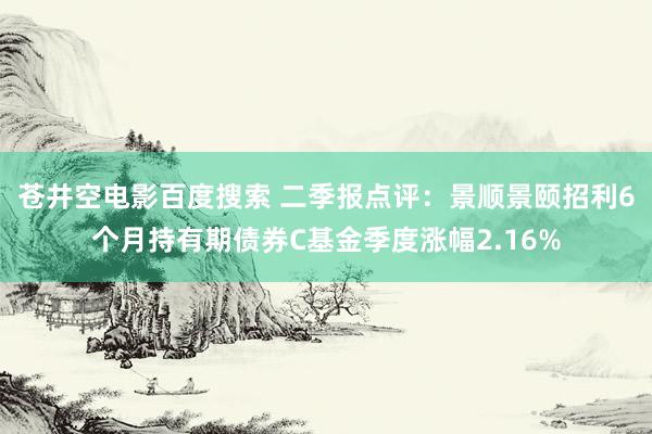 苍井空电影百度搜索 二季报点评：景顺景颐招利6个月持有期债券C基金季度涨幅2.16%