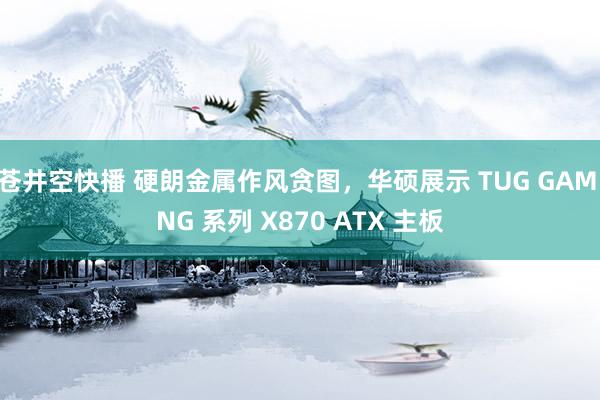 苍井空快播 硬朗金属作风贪图，华硕展示 TUG GAMING 系列 X870 ATX 主板