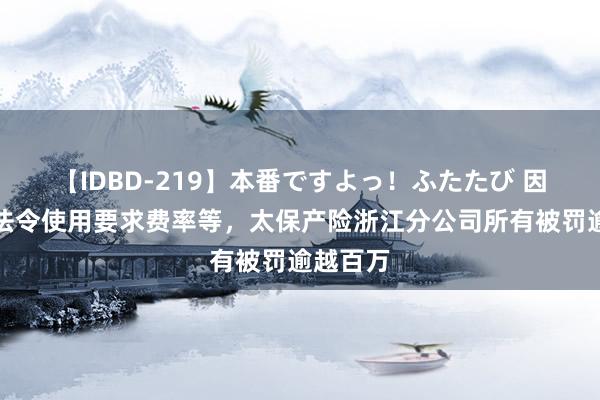 【IDBD-219】本番ですよっ！ふたたび 因未按照法令使用要求费率等，太保产险浙江分公司所有被罚逾越百万