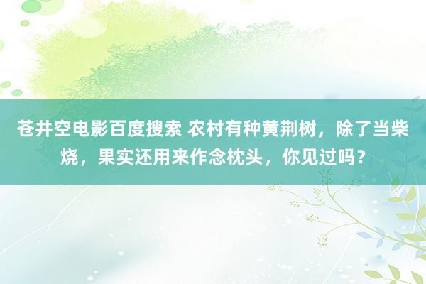 苍井空电影百度搜索 农村有种黄荆树，除了当柴烧，果实还用来作念枕头，你见过吗？