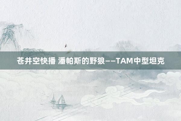 苍井空快播 潘帕斯的野狼——TAM中型坦克