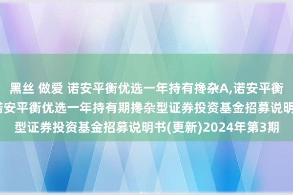 黑丝 做爱 诺安平衡优选一年持有搀杂A,诺安平衡优选一年持有搀杂C: 诺安平衡优选一年持有期搀杂型证券投资基金招募说明书(更新)2024年第3期