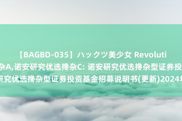 【BAGBD-035】ハックツ美少女 Revolution Rino 诺安研究优选搀杂A，诺安研究优选搀杂C: 诺安研究优选搀杂型证券投资基金招募说明书(更新)2024年第2期