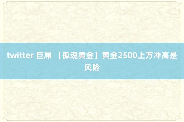 twitter 巨屌 【孤魂黄金】黄金2500上方冲高是风险