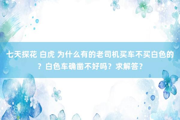 七天探花 白虎 为什么有的老司机买车不买白色的？白色车确凿不好吗？求解答？