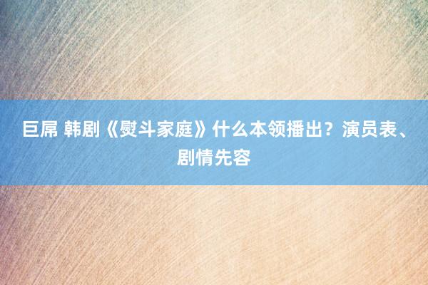 巨屌 韩剧《熨斗家庭》什么本领播出？演员表、剧情先容