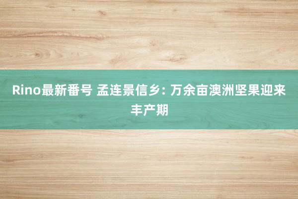 Rino最新番号 孟连景信乡: 万余亩澳洲坚果迎来丰产期