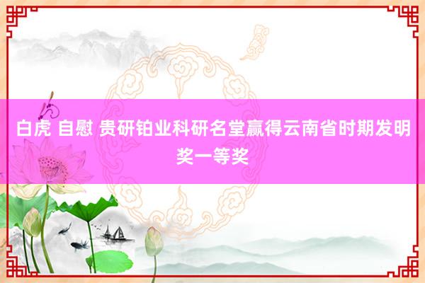 白虎 自慰 贵研铂业科研名堂赢得云南省时期发明奖一等奖