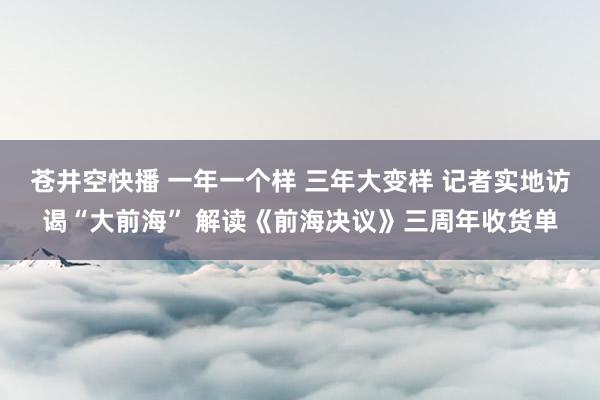 苍井空快播 一年一个样 三年大变样 记者实地访谒“大前海” 解读《前海决议》三周年收货单