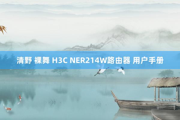 清野 裸舞 H3C NER214W路由器 用户手册