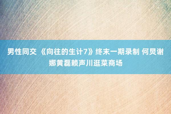 男性同交 《向往的生计7》终末一期录制 何炅谢娜黄磊赖声川逛菜商场