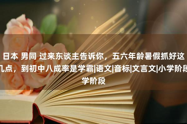 日本 男同 过来东谈主告诉你，五六年龄暑假抓好这几点，到初中八成率是学霸|语文|音标|文言文|小学阶段