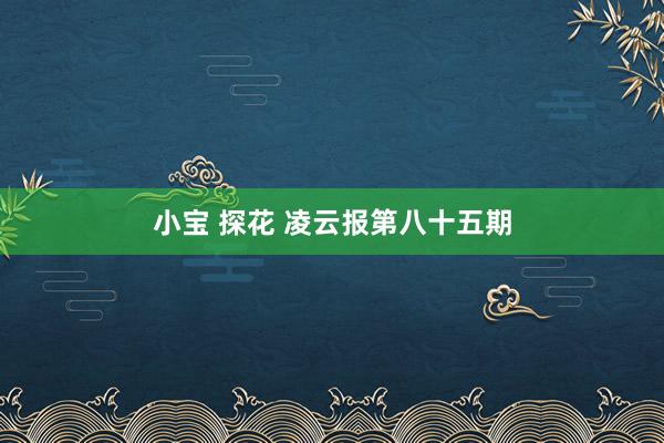 小宝 探花 凌云报第八十五期